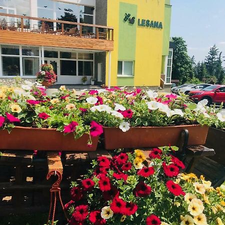 Hotel Lesana Stara Lesna Exterior foto